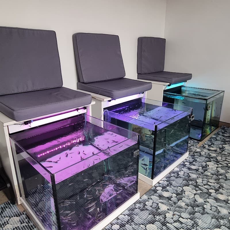 Pont-l'Évêque fish spa en auge photo