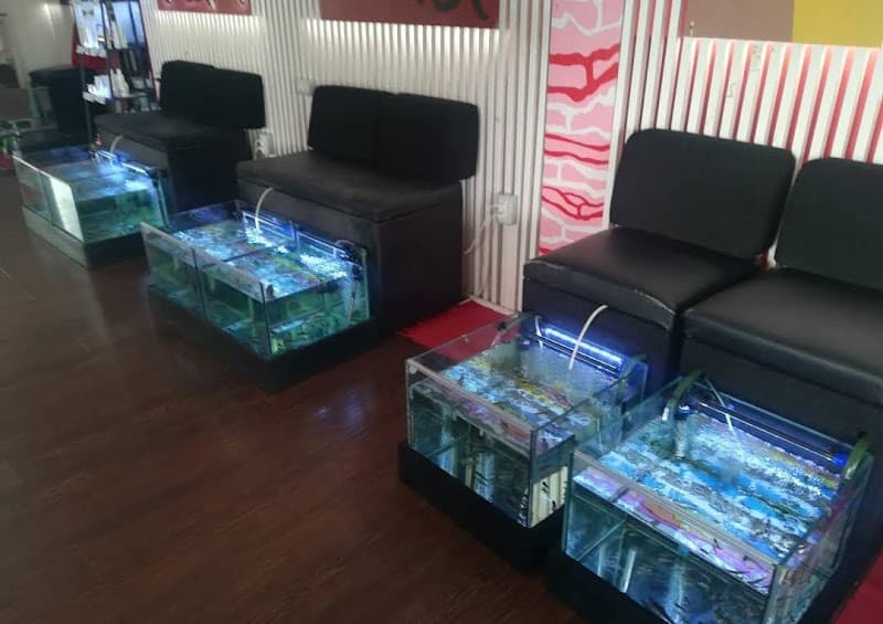 Fish Spa Fuerteventura Pájara photo