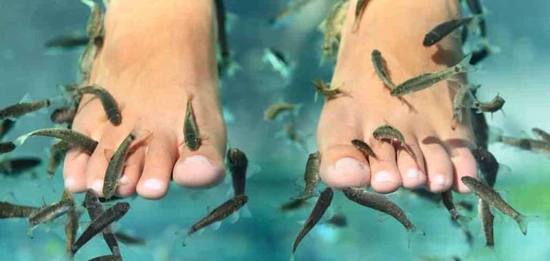 Fish Spa Kangal Wellness Center Santorini photo