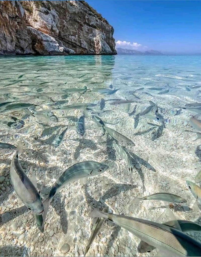 Fish Spa Siem Reap Krong Siem Reap 17254 photo