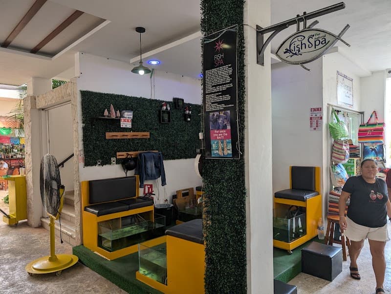 Fish Spa y Masajes Bamboo Cozumel photo