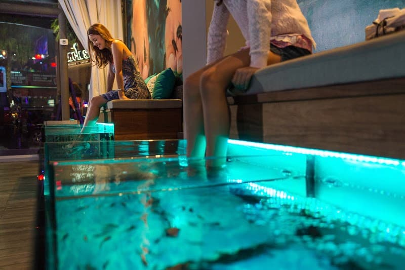 Fish Therapy San José del Cabo photo