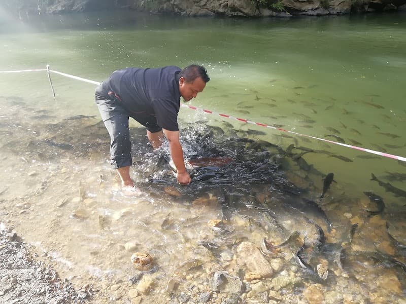 FishSpa Ranau photo