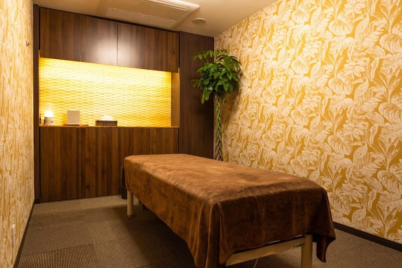 Fit Clinic Kumamoto City Chuo Ward photo