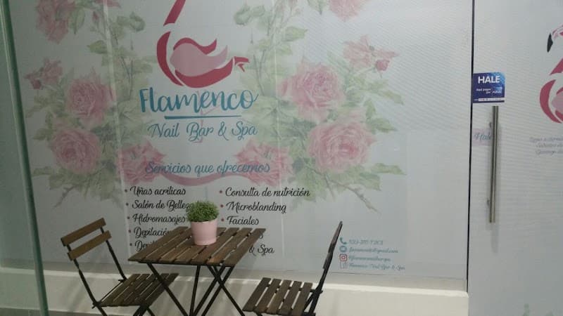 Flamenco Nail Bar and Spa Santo Domingo photo