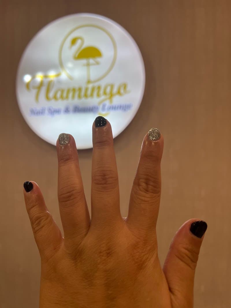 Flamingo Beauty Klang photo