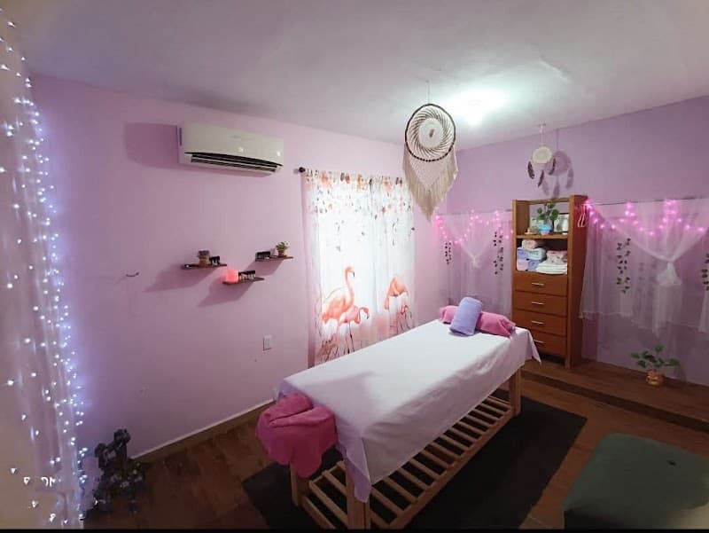 Flamingos Spa Tampico photo