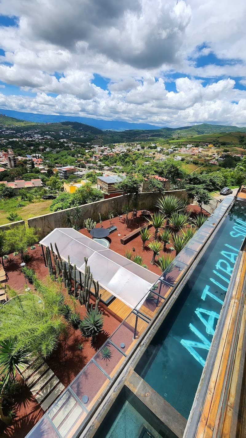 Flavia Hotel Oaxaca photo