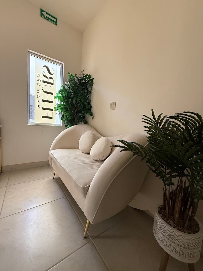 Fleurs Head Spa Mexicali photo