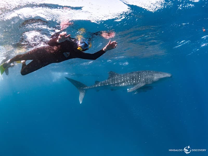 Float Away Ningaloo Exmouth photo