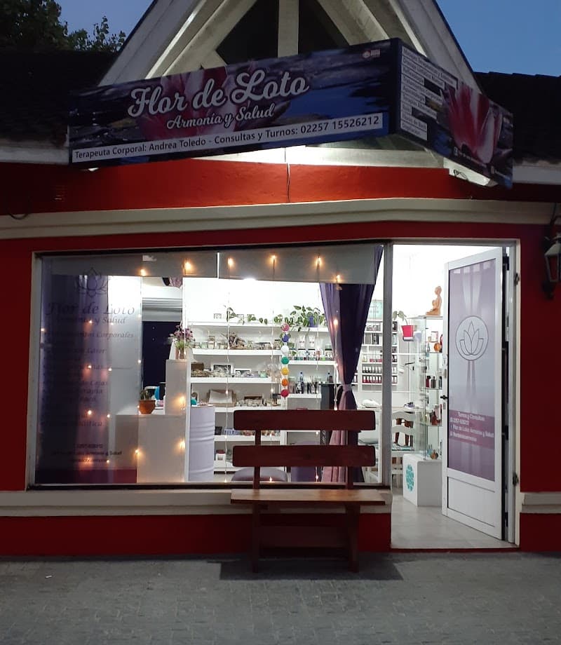 Flor de Loto Armonía y Salud San Bernardo photo