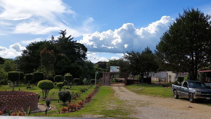 Flor de María, temazcal & spa Las Margaritas photo