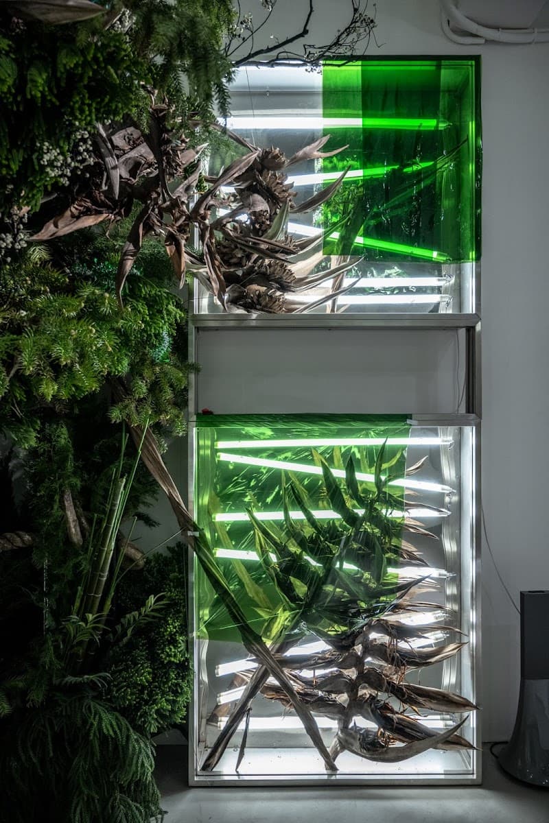 Flower Elf Beauty World New Taipei City photo