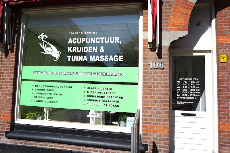 Flowing Energy Acupuncture & Herbs Scheveningen photo