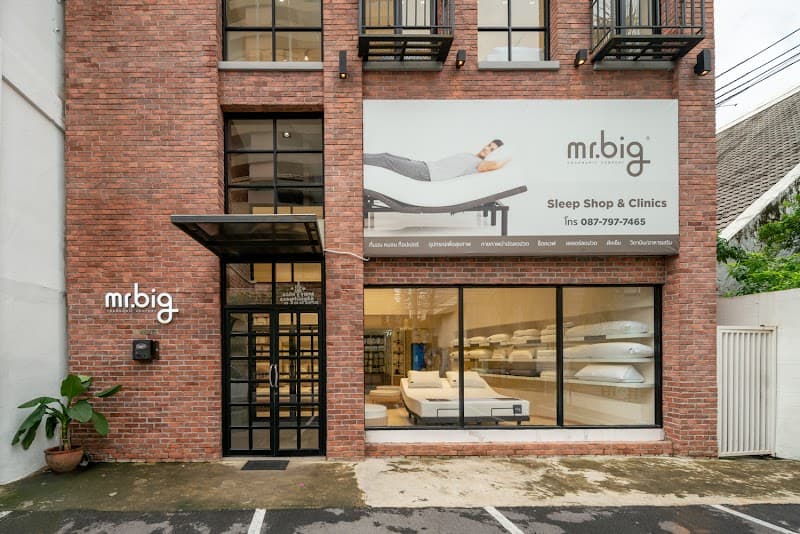 Folding Bed Spa Bed Tattoo Bed King Size Folding Spa Bed By Bestmassage Bangkok photo