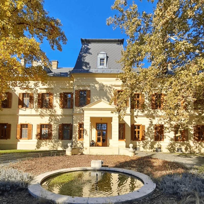 Főnix Day Spa Pomáz photo