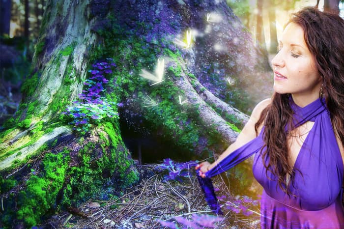 Forest of Youth Holistic Spa Newton Falls photo