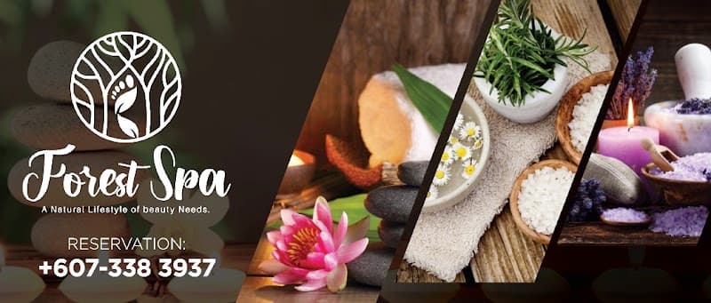 Forest Spa Plaza Sentosa Johor Bahru photo