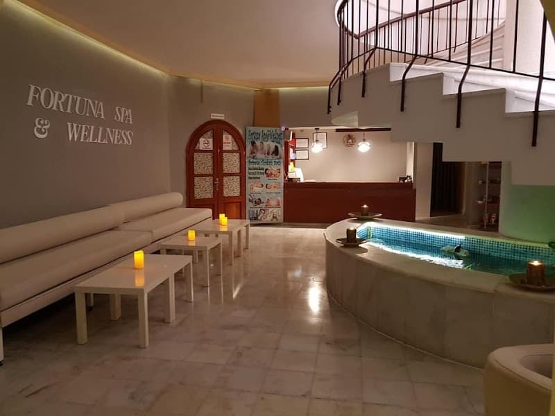 Fortuna spa Gianyar photo