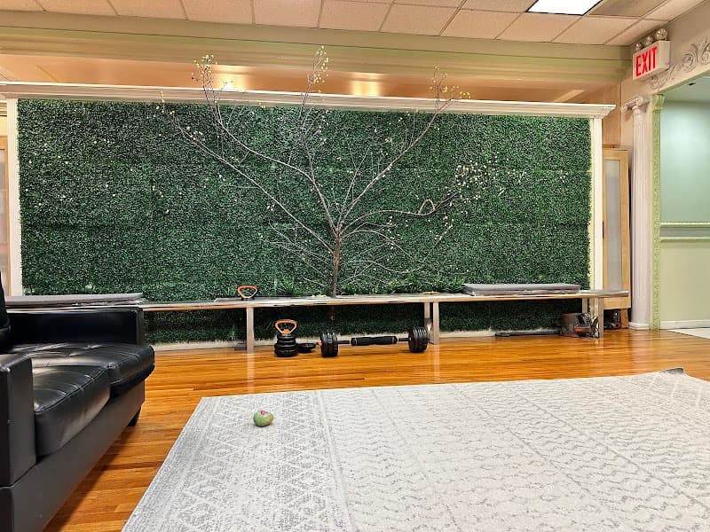 Fountain of Youth Health Spa New York photo