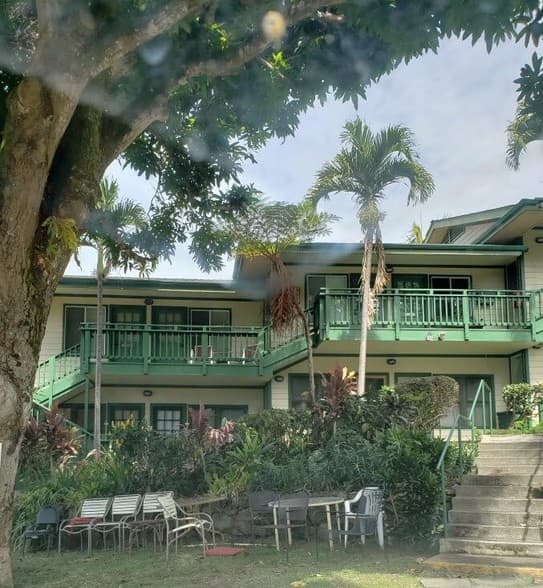 Frangipani Ola Mau Spa Captain Cook photo