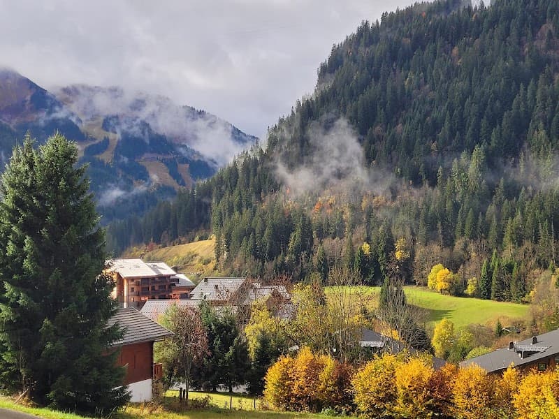 Free Body Challonges photo