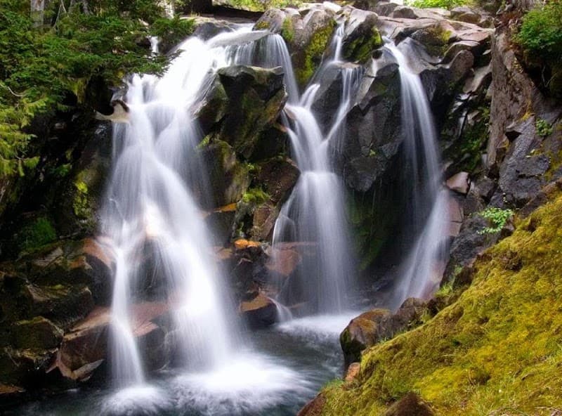 Freeborn Natural Health Federal Way photo