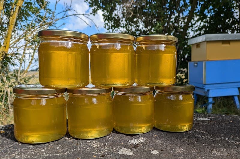 Friskvård på Nöbbelöv 841 Lund photo