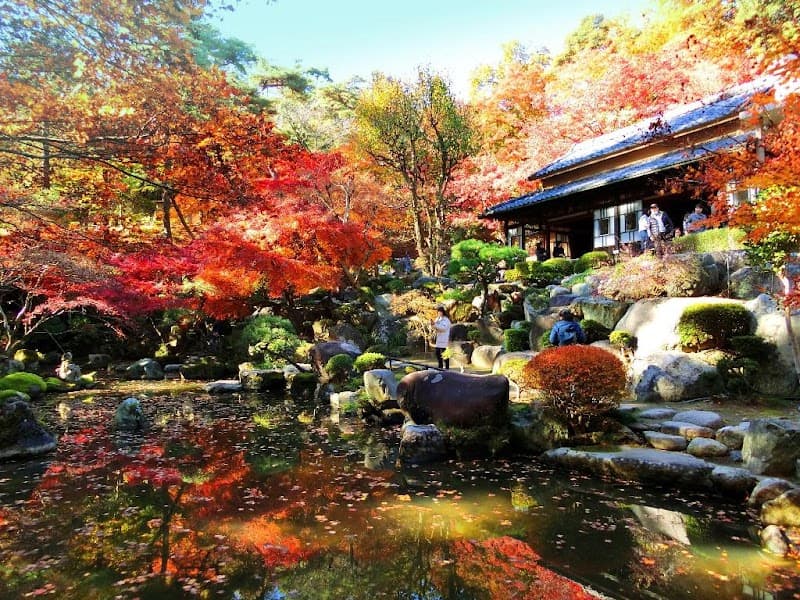 Fujimori Yu Takasaki City photo