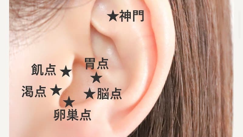 Fujioka Acupuncture Clinic Toyo Slim Health Consultation Room Abeno Ward, Osaka photo