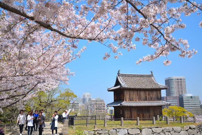 Fukutome Kaitouin Fukuoka City Chuo Ward photo
