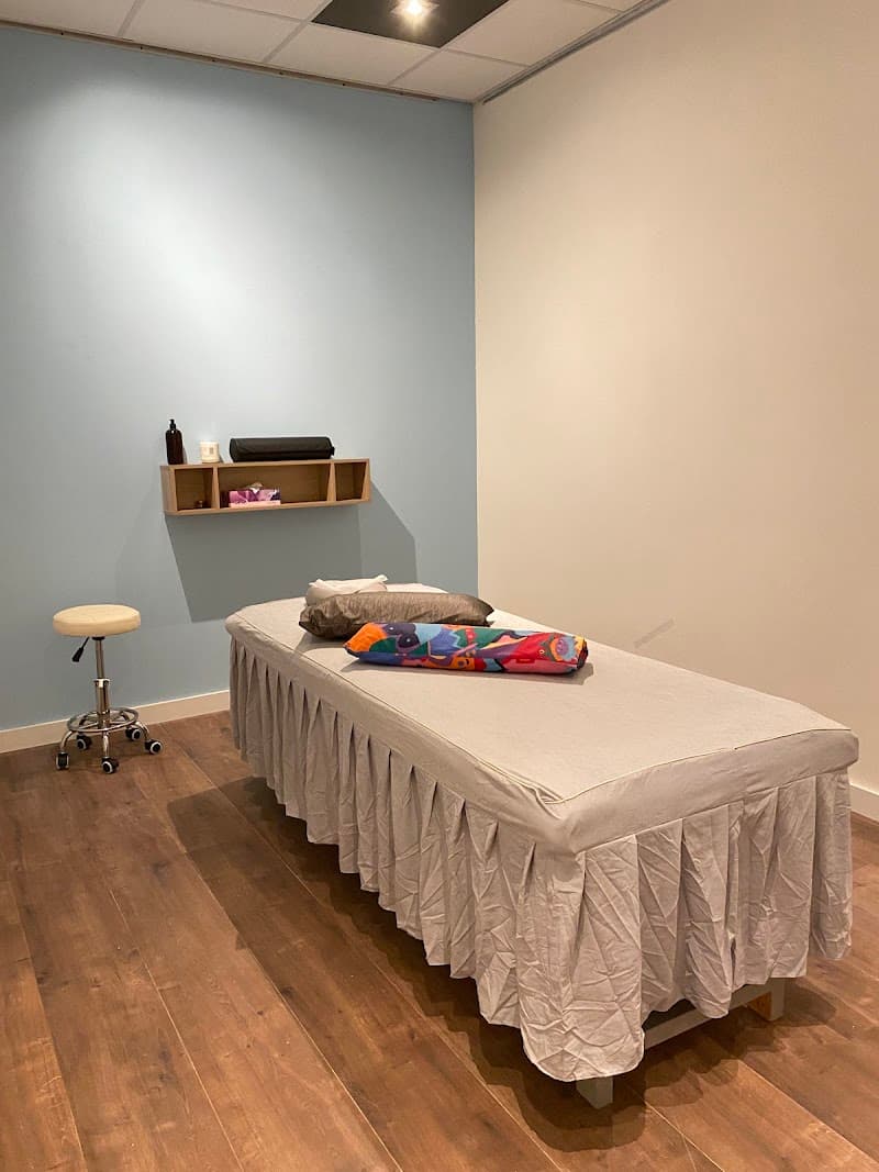 Fulin Chinese Massage Salon Haarlem photo