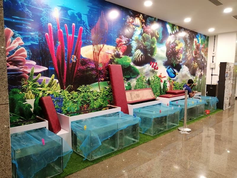 Fun Bay Fish Spa Kozhikode photo