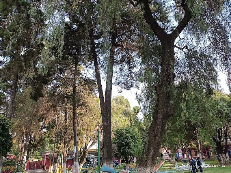 Fundacion de Ayuda al Debil Mental Tlalnepantla de Baz photo