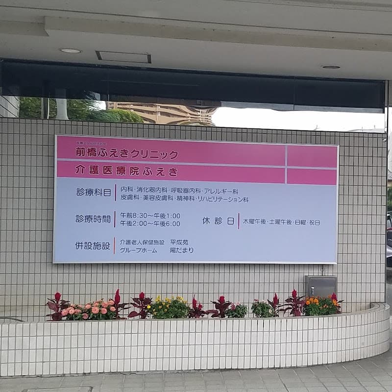 Furuichimachi Seitai Clinic Maebashi City photo