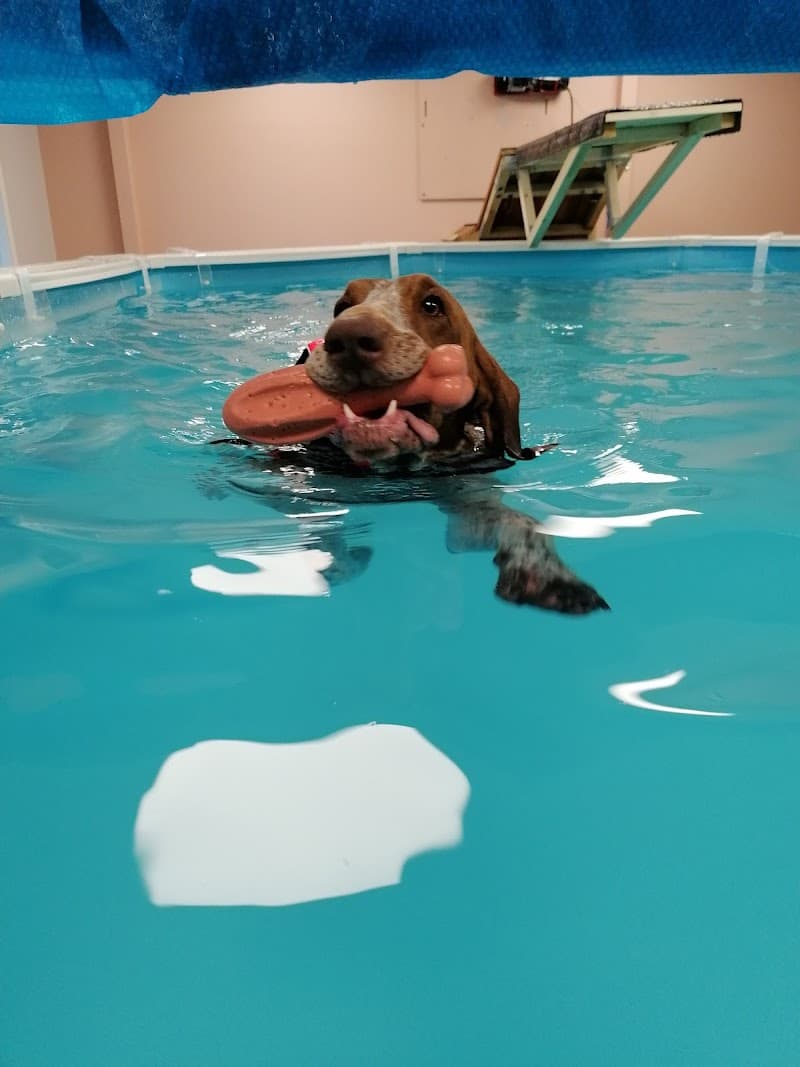 Fyra tassar i balans i Umeå AB Bygdeå photo