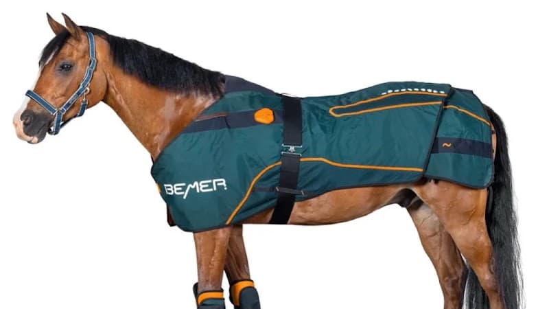 Fysiotherapie Ottevanger, Care for well-being Rotterdam photo