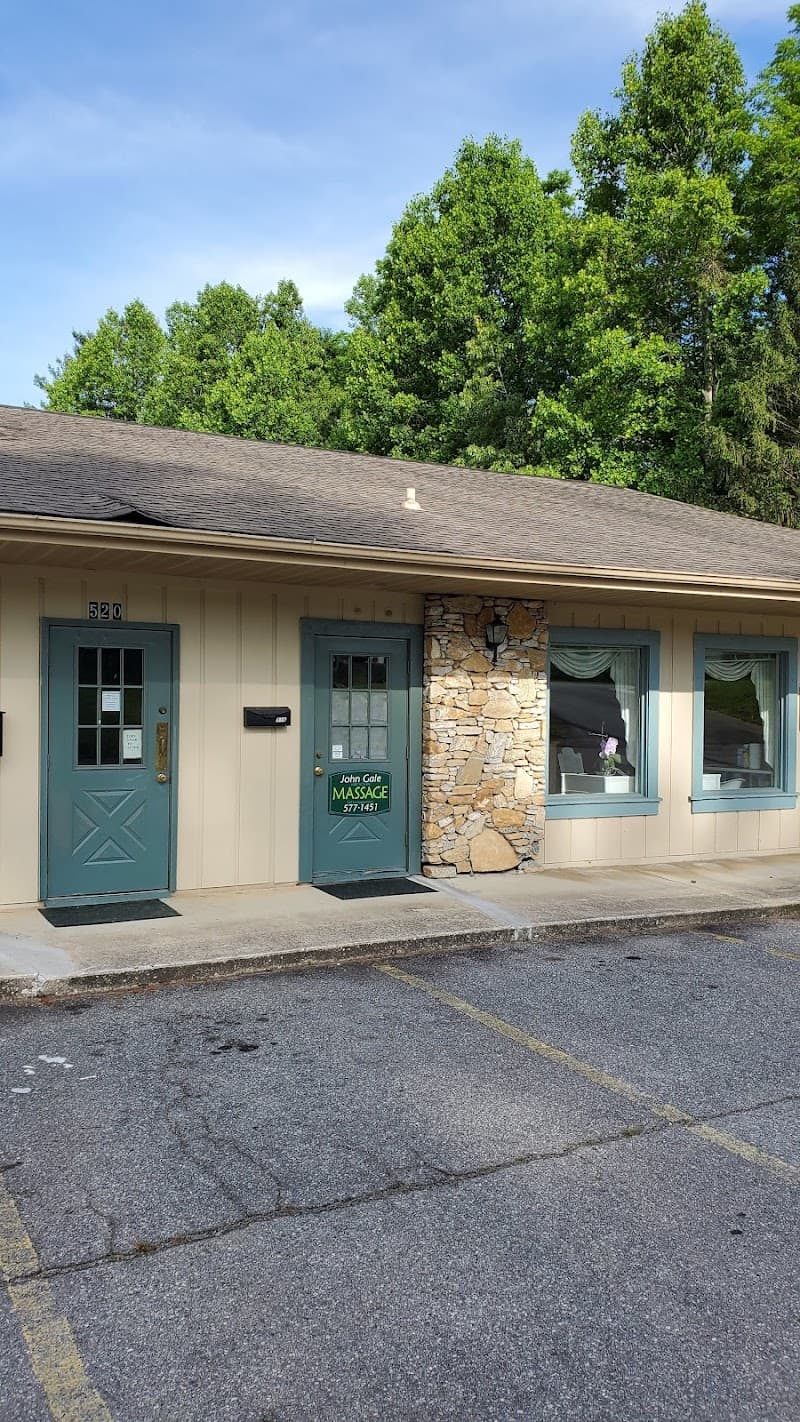 Gale John Therapeutic Massage Lmbt Brevard photo