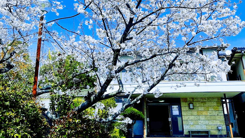 Ganbanyoku Ganjo Spa Tenka Tamana District, Nagasu Town photo