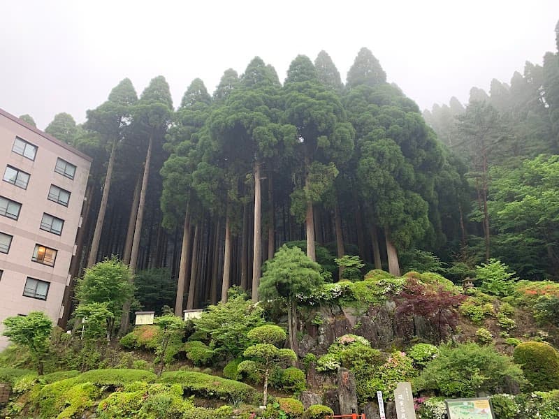 Garden Resort Spa Kirishima no Mori Clover photo