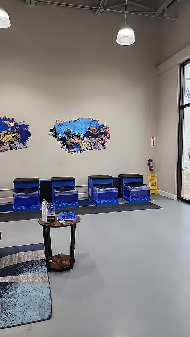 Garra Palm Beach West Palm Beach photo