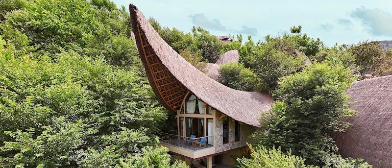 Garrya Mù Cang Chải photo