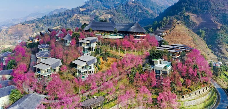Garrya Mù Cang Chải photo