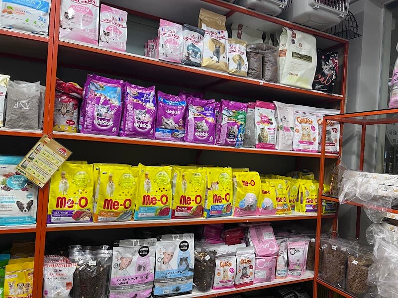 Gâu Miu Pet Thị Xã Sơn Tây photo