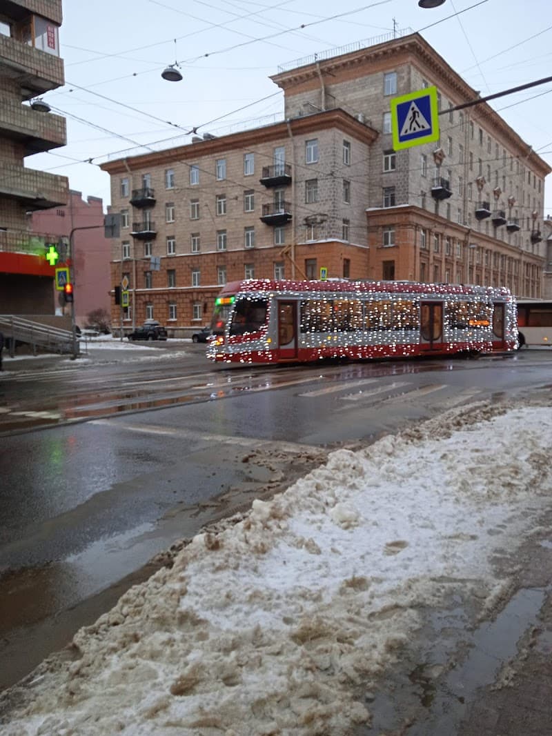 Gavanskaya, 10 Saint Petersburg photo
