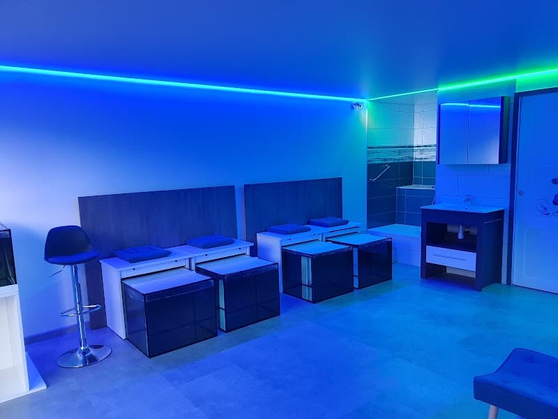 GB Aqua Fish Spa Albertville photo