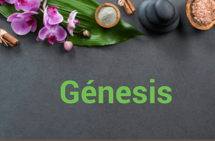 Genesis Spa Montevideo photo