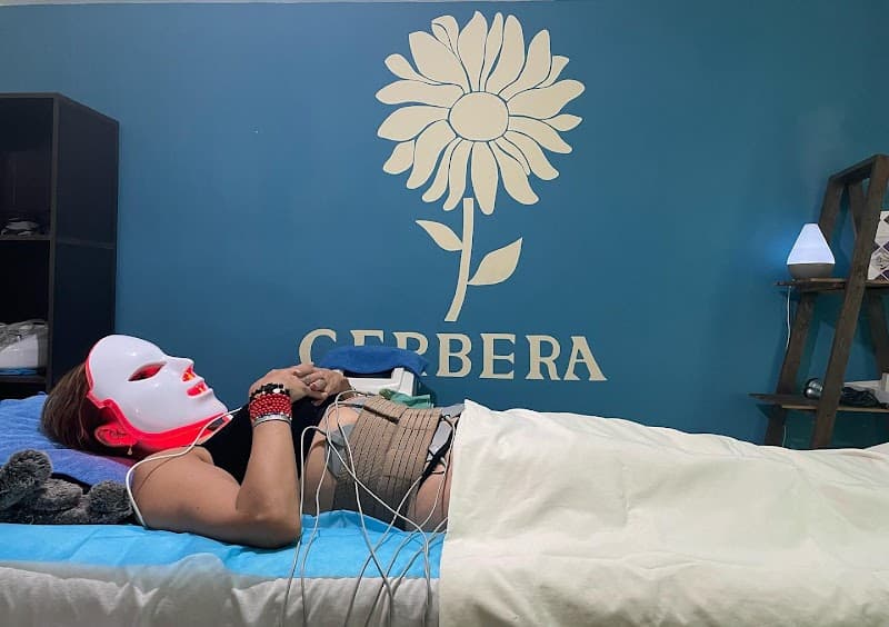 Gerbera Bienestar Corporal y Estético Zapopan photo