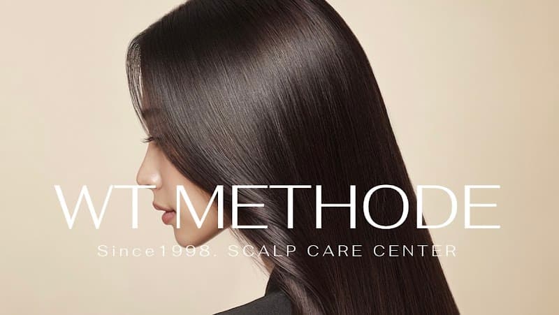 German Wt Method Hair Loss Clinic Seongnam City photo