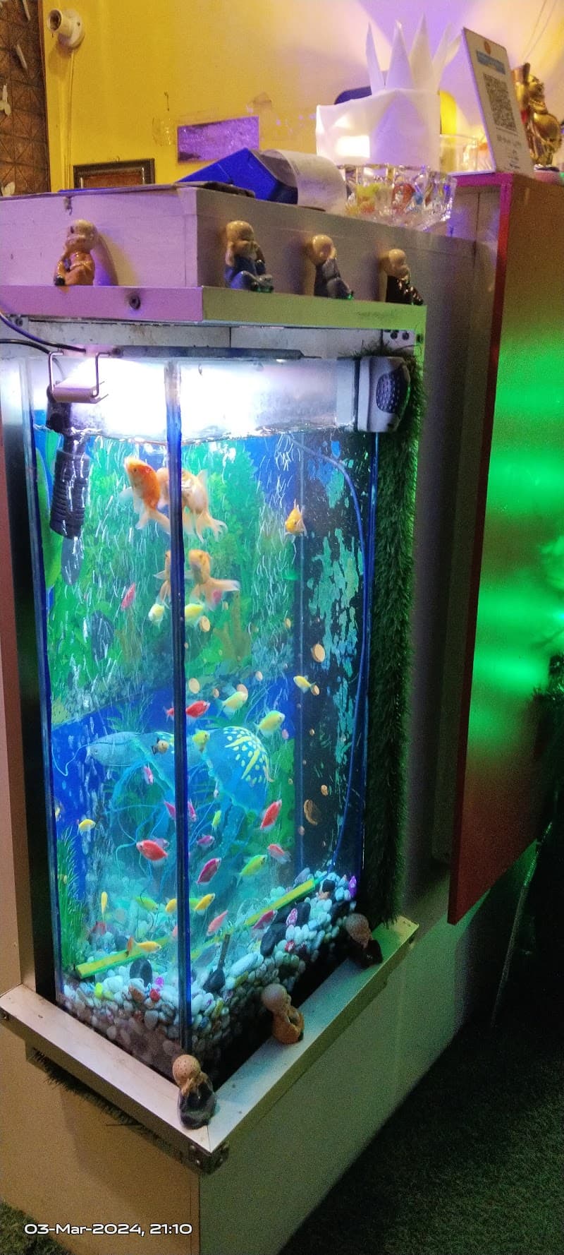 Get Pampered Wellness Spa Port Blair photo